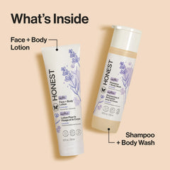 Shampoo + Lotion Duo, Calm